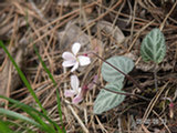 0505143s.jpg