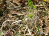 0505161s.jpg