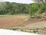 0505178s.jpg