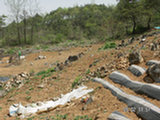 0505184s.jpg