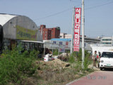 0505197s.jpg