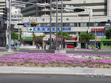0505198s.jpg