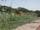 0505209s.jpg