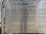 0505216s.jpg