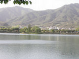 0505236s.jpg
