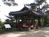 0505237s.jpg