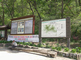 0505260s.jpg