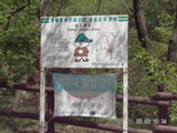 0505267s.jpg