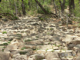0505270s.jpg