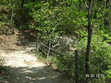 0505274s.jpg