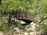0505275s.jpg