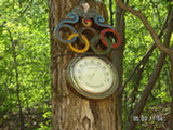 0505278s.jpg