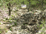 0505282s.jpg