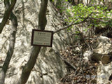 0505283s.jpg