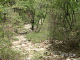 0505284s.jpg