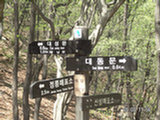 0505290s.jpg