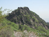 0505291s.jpg