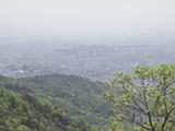 0505292s.jpg