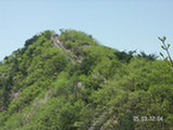 0505294s.jpg