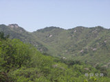 0505295s.jpg