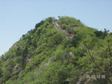0505296s.jpg