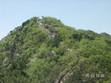 0505297s.jpg