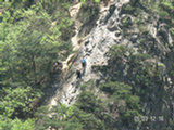 0505301s.jpg