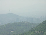 0505302s.jpg