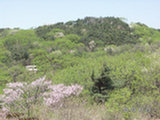 0505307s.jpg