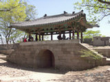 0505308s.jpg