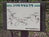 0505313s.jpg