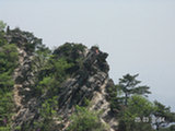 0505315s.jpg