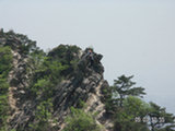 0505316s.jpg