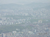0505317s.jpg