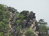 0505321s.jpg