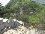 0505330s.jpg