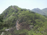 0505331s.jpg