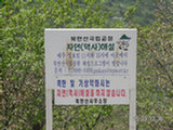 0505334s.jpg