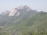0505337s.jpg