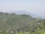 0505338s.jpg