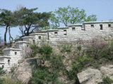 0505344s.jpg