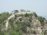 0505345s.jpg