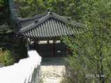 0505347s.jpg
