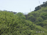 0505348s.jpg