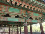 0505349s.jpg