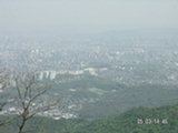 0505350s.jpg