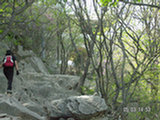 0505353s.jpg