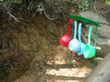 0505354s.jpg