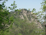 0505355s.jpg