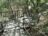 0505356s.jpg